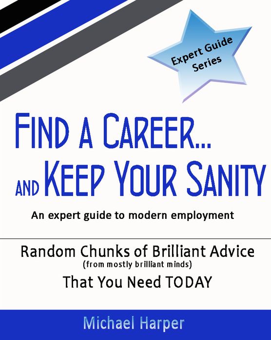 Find a Career and Keep Your Sanity: An expert guide to modern employment
