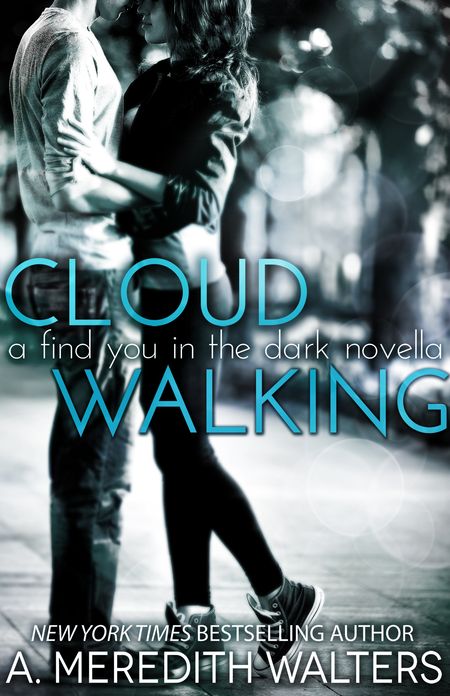 Cloud Walking (A Find You in the Dark novella)