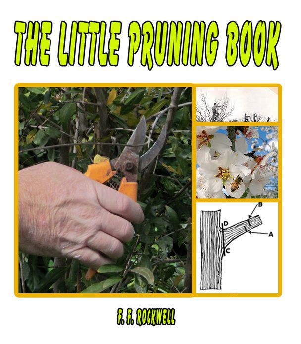The Little Pruning Book