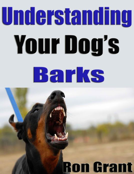 Understanding Your Dog's Barks
