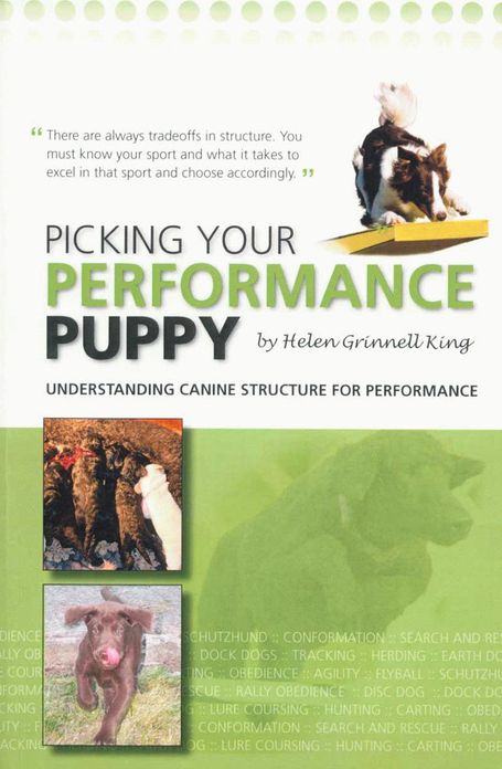 Picking Your Performance Puppy