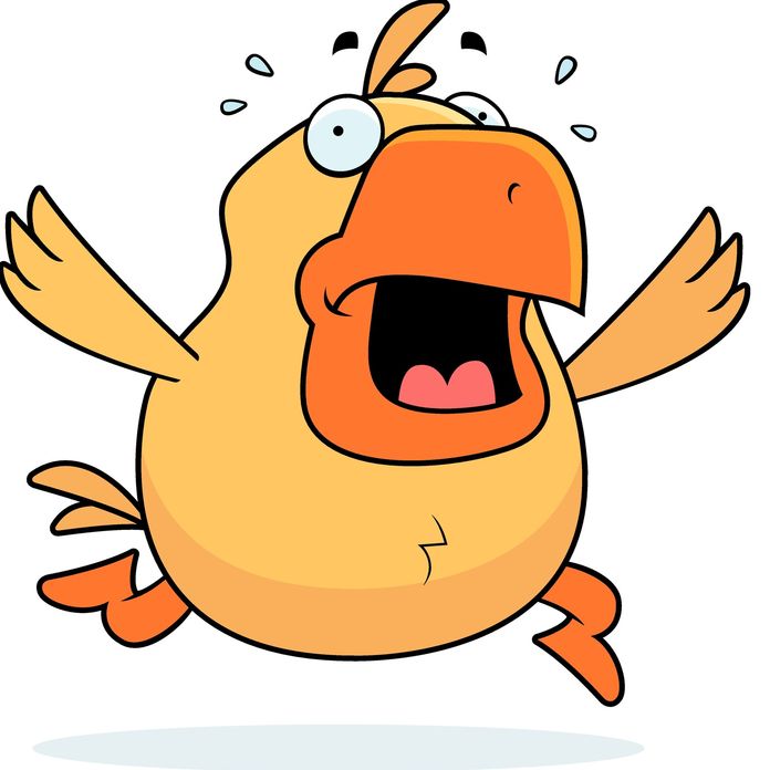 To Run Afowl