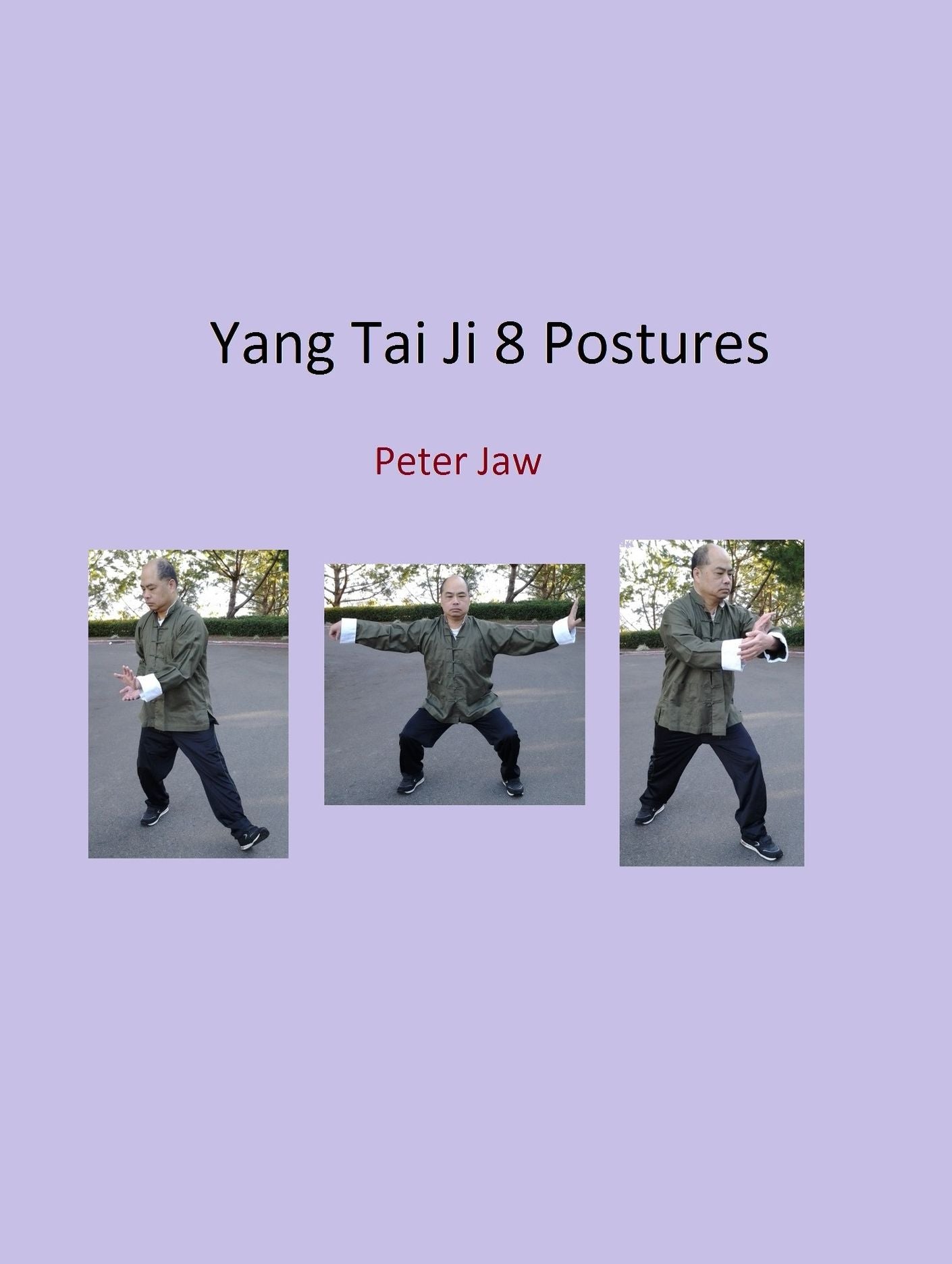 Yang Tai Ji 8 Postures