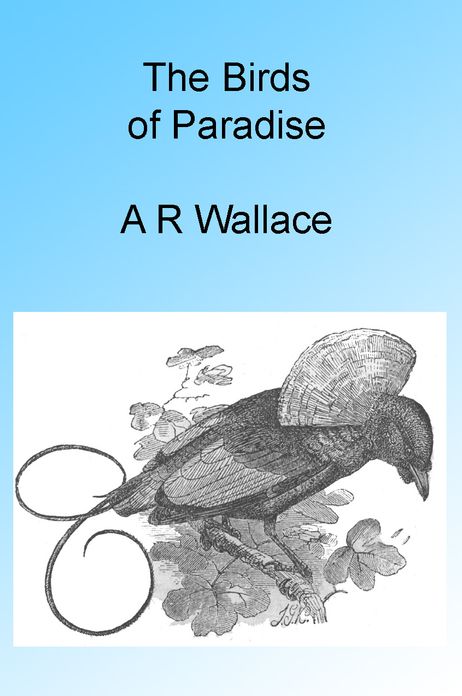 The Birds of Paradise, Illustrated