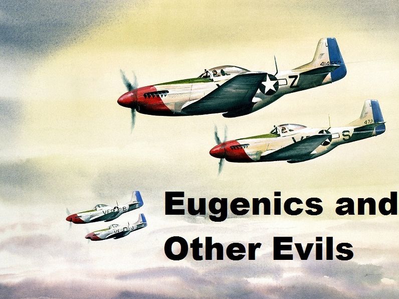 Eugenics and Other Evils