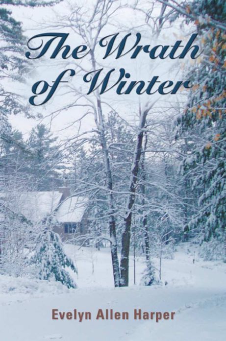 THE WRATH OF WINTER: The Accidental Mystery Series - Book Six