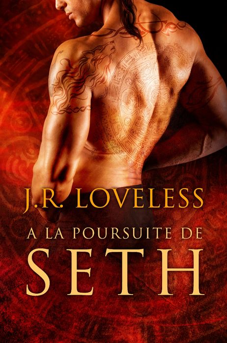 &Agrave; la poursuite de Seth