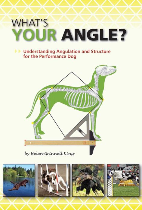 What’s Your Angle