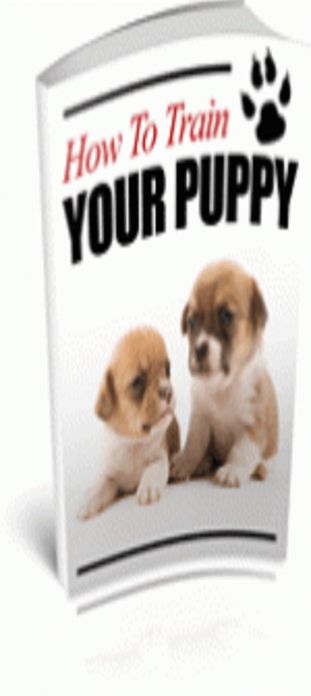 How To Train Your Puppy
