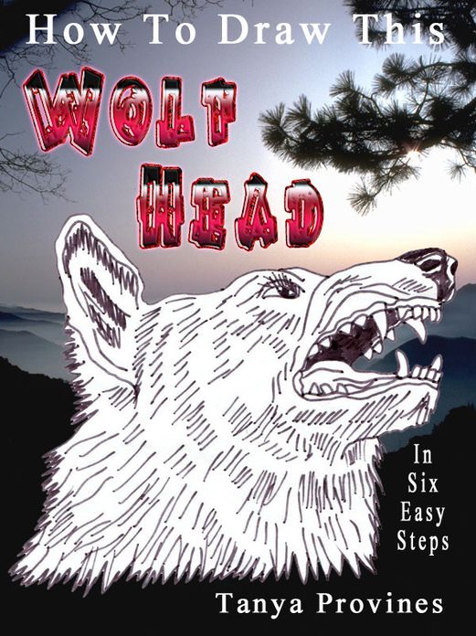 How To Draw This Wolf Head In Six Easy Steps