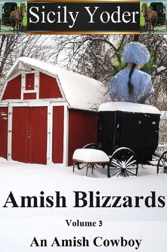 Amish Blizzards: Volume Three: An Amish Cowboy