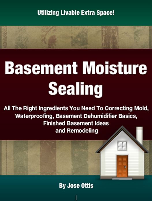 Basement Moisture Sealing: All The Right Ingredients You Need To Correcting Mold,Waterproofing, Basement Dehumidifier Basics, Finished Basement Ideas