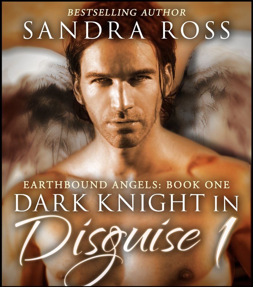 Dark Knight In Disguise I: Earthbound Angels Book 1