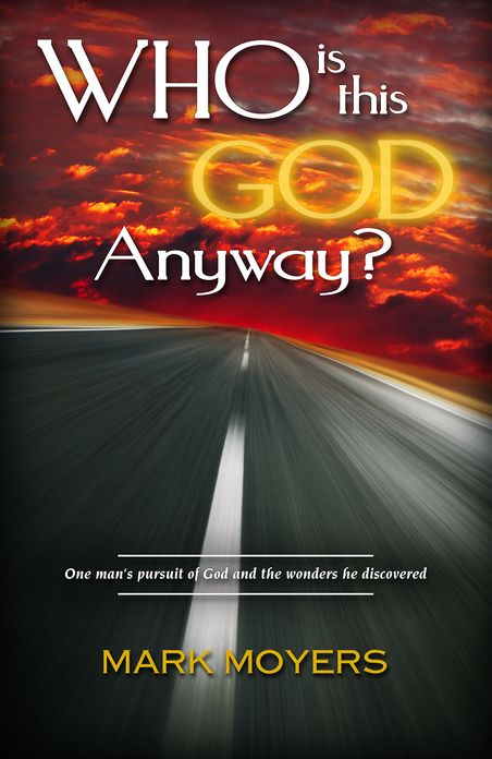 Who Is This God Anyway?: One Man's Pursuit of God and the Wonders He Discovered