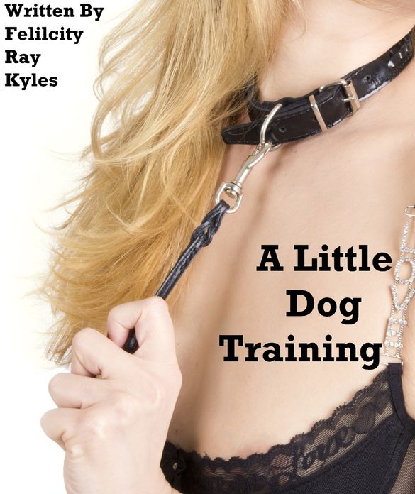 A Little Dog Training