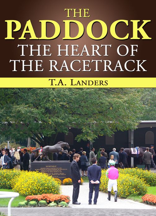 The Paddock: The Heart of the Racetrack
