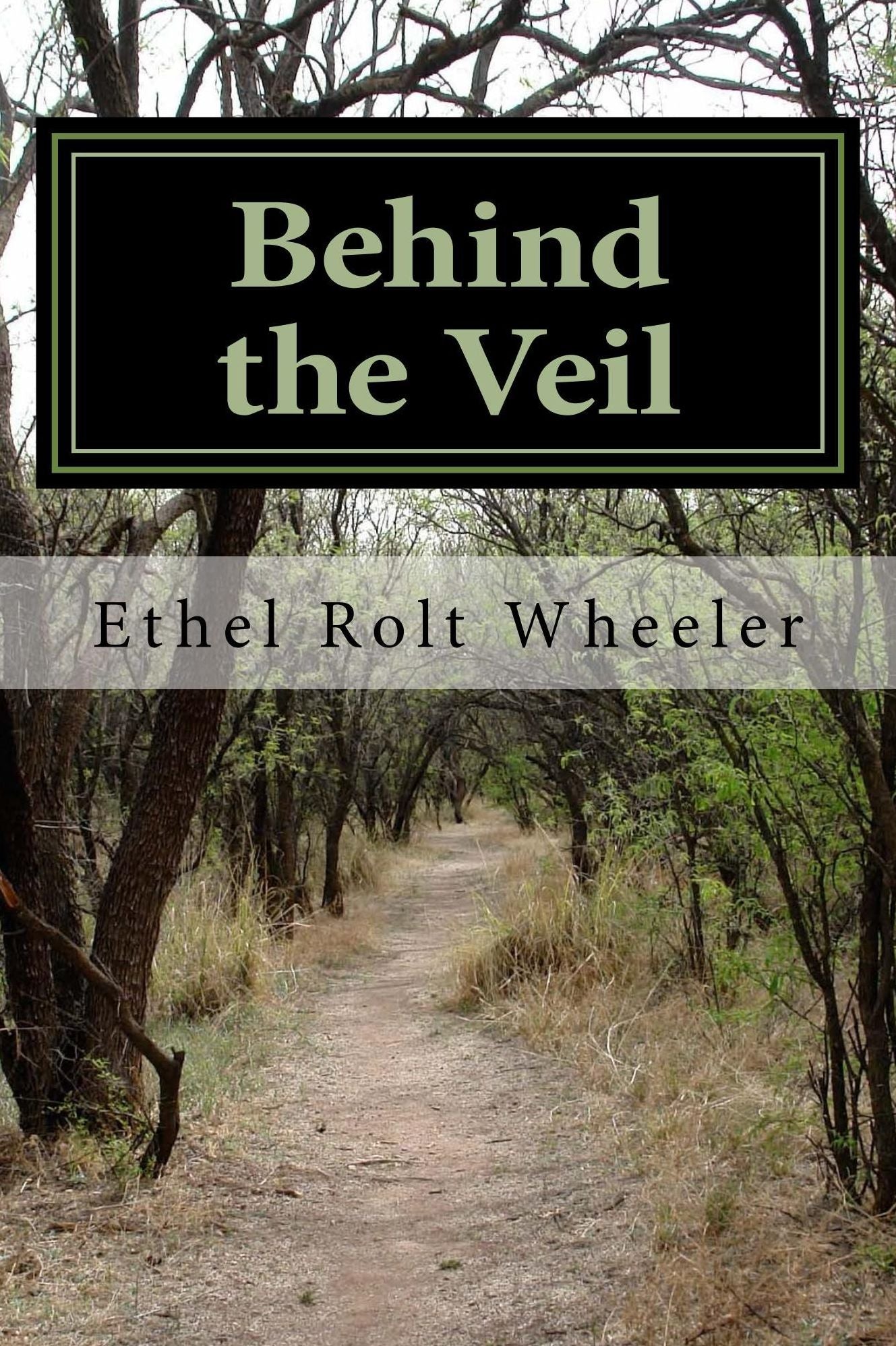 Behind the Veil (Illustrated Edition)