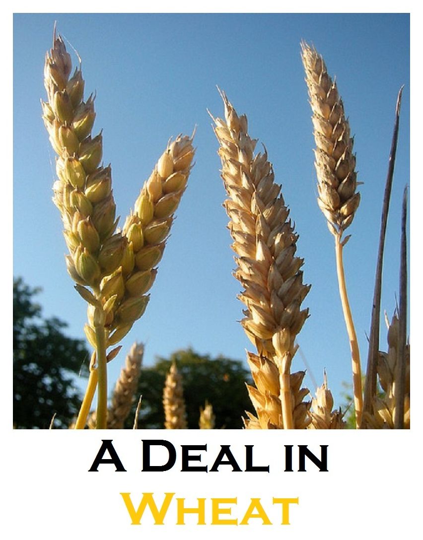 Fiction: A Deal in Wheat ( Western, Drama, Mystery, Romance, Science Fiction, Action, Horror, Thriller, Religion, Military, Bible, Sci Fi, War, Adventure )