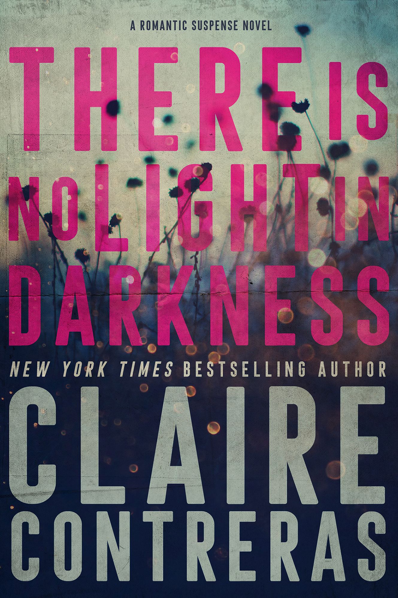 There is No Light in Darkness