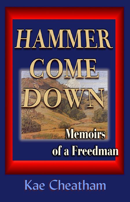 Hammer Come Down: Memoirs of a Freedman
