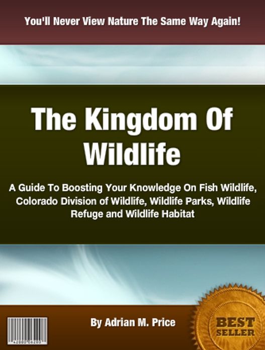 The Kingdom Of Wildlife: A Guide To Boosting Your Knowledge On Fish Wildlife, Colorado Division of Wildlife, Wildlife Parks, Wildlife Refuge and Wildlife Habitat