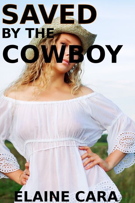 Saved by the Cowboy (Werewolf Erotica)