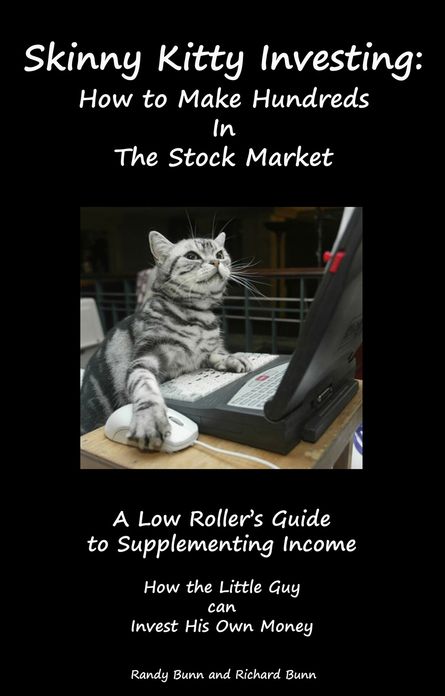 Skinny Kitty Investing