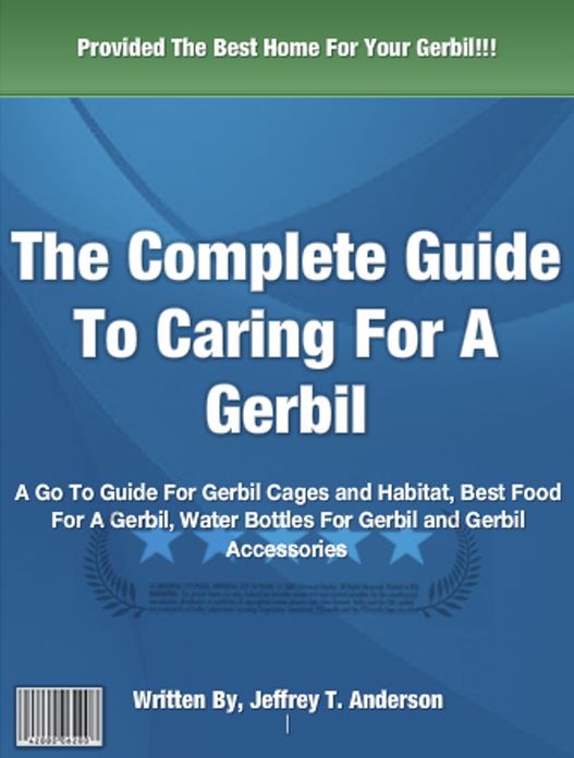The Complete Guide To Caring For A Gerbil: A Go To Guide For Gerbil Cages and Habitat, Best Food For A Gerbil, Water Bottles For Gerbil and Gerbil Accessories