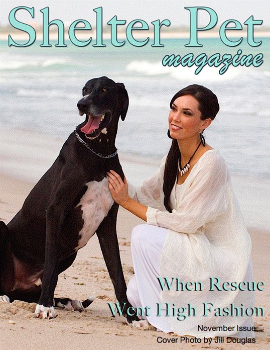 Shelter Pet Magazine- November 2012