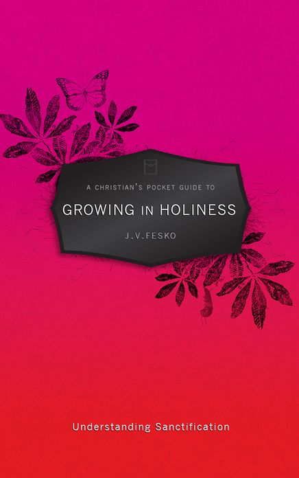 A Christian's Pocket Guide to Growing in Holiness