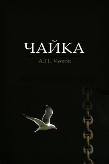 Chekhov - The Seagull in 1,000 Words (Zbooker Classics)
