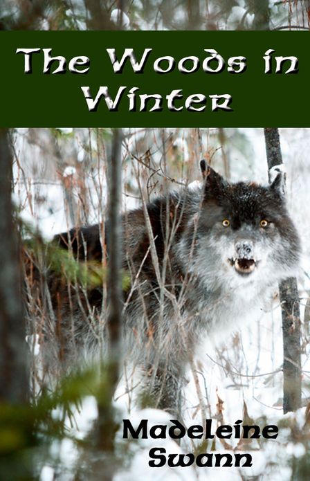The Woods in the Winte