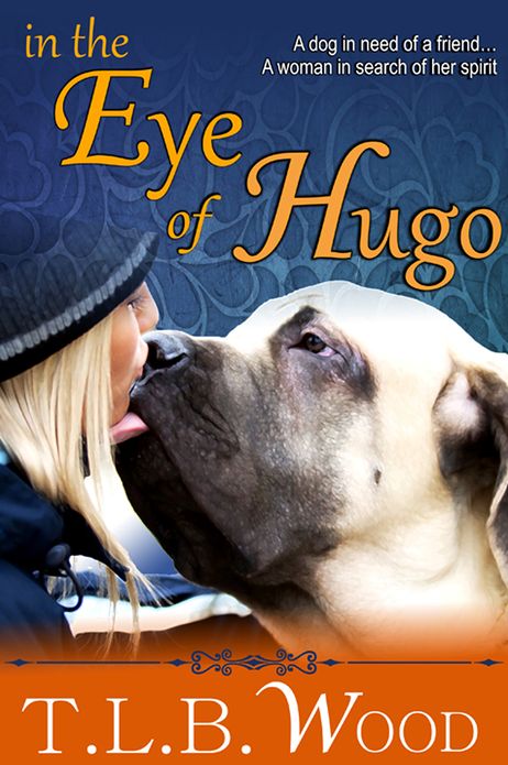 In The Eye of Hugo (An Inspirational Love Story)