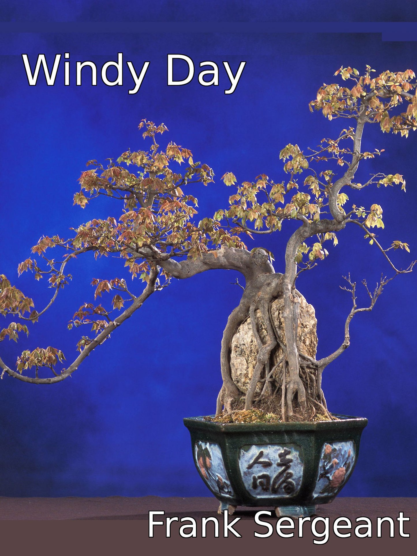 Windy Day