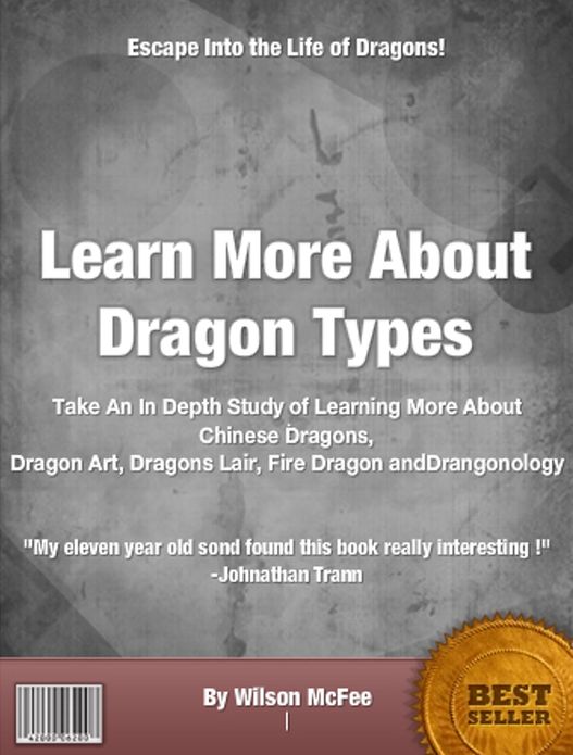 Learn More About Dragon Types: Take An In Depth Study of Learning More About Chinese Dragons, Dragon Art, Dragons Lair, Fire Dragon and Drangonology