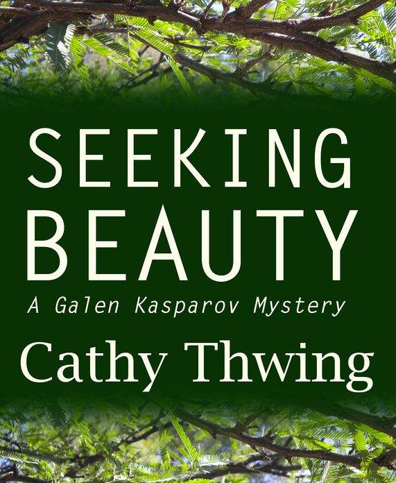 Seeking Beauty - A Galen Kasparov Mystery