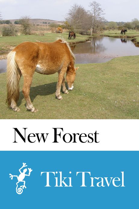 New Forest (England) Travel Guide - Tiki Travel
