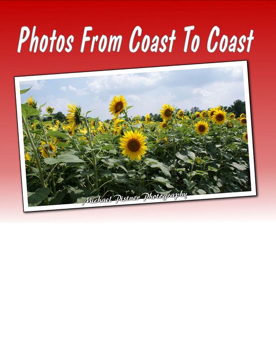 Photos From Coast to Coast