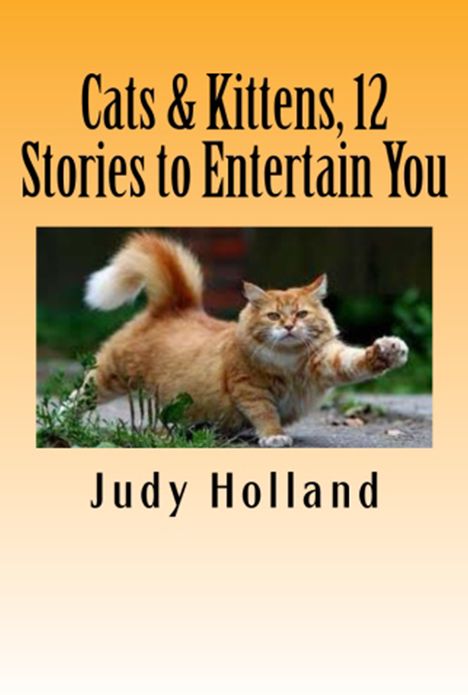 Cats & Kittens, 12 Stories to Entertain You!