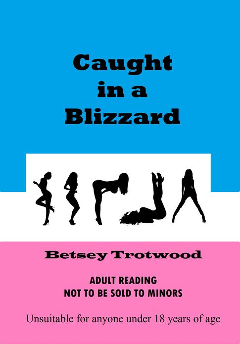 Caught in a Blizzard
