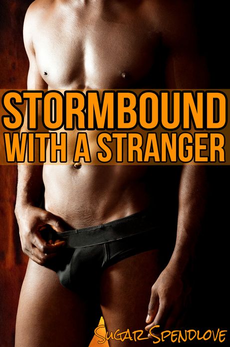 Stormbound With A Stranger (Gay Erotica)