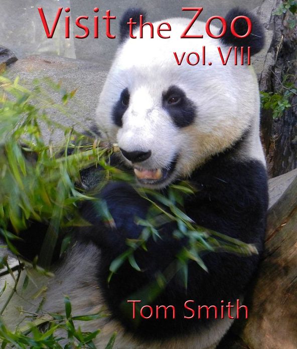 Visit the Zoo, vol. VIII