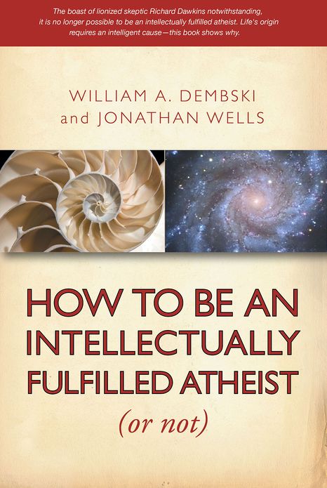 How to be an Intellectually Fulfilled Athiest (Or Not)