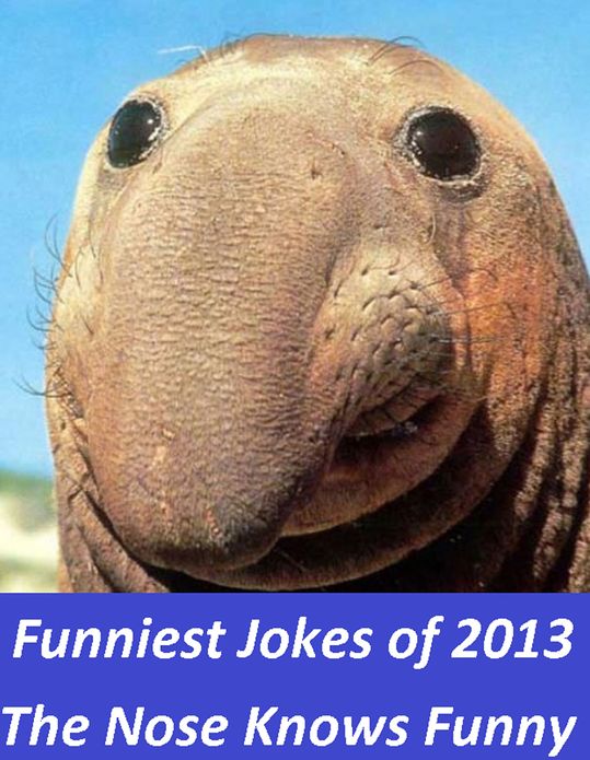 Funniest Jokes: Funniest Jokes of 2013, The Nose Knows Funny (Merlin, dragon, sword, lance, knight, shield, castle, troll, goblin, sorcery, sci-fi, )