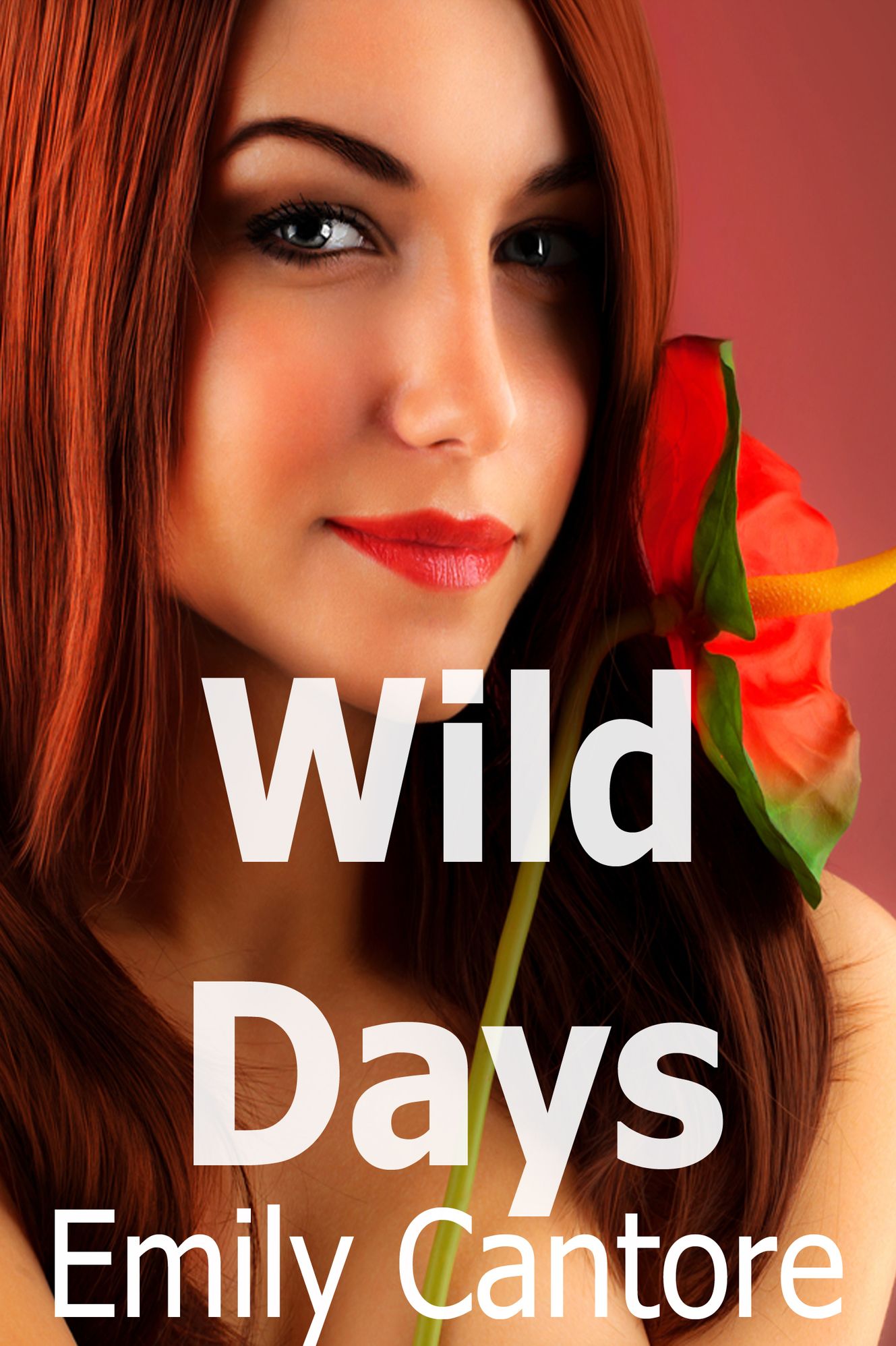 Wild Days (Four erotic stories!)
