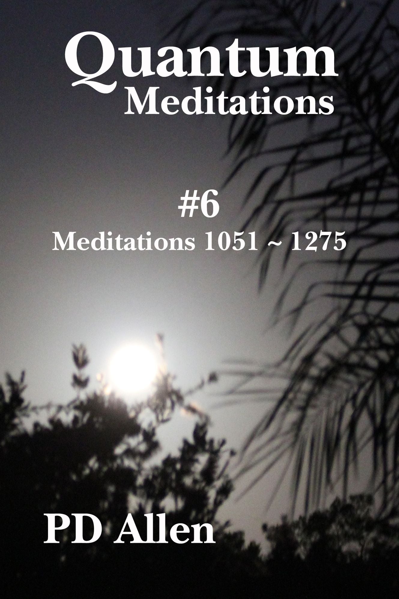 Quantum Meditations #6