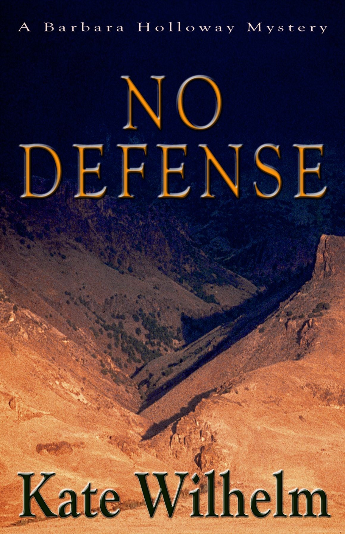 No Defense (Barbara Holloway Series #5)