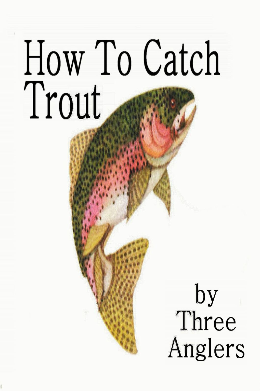 How to Catch Trout