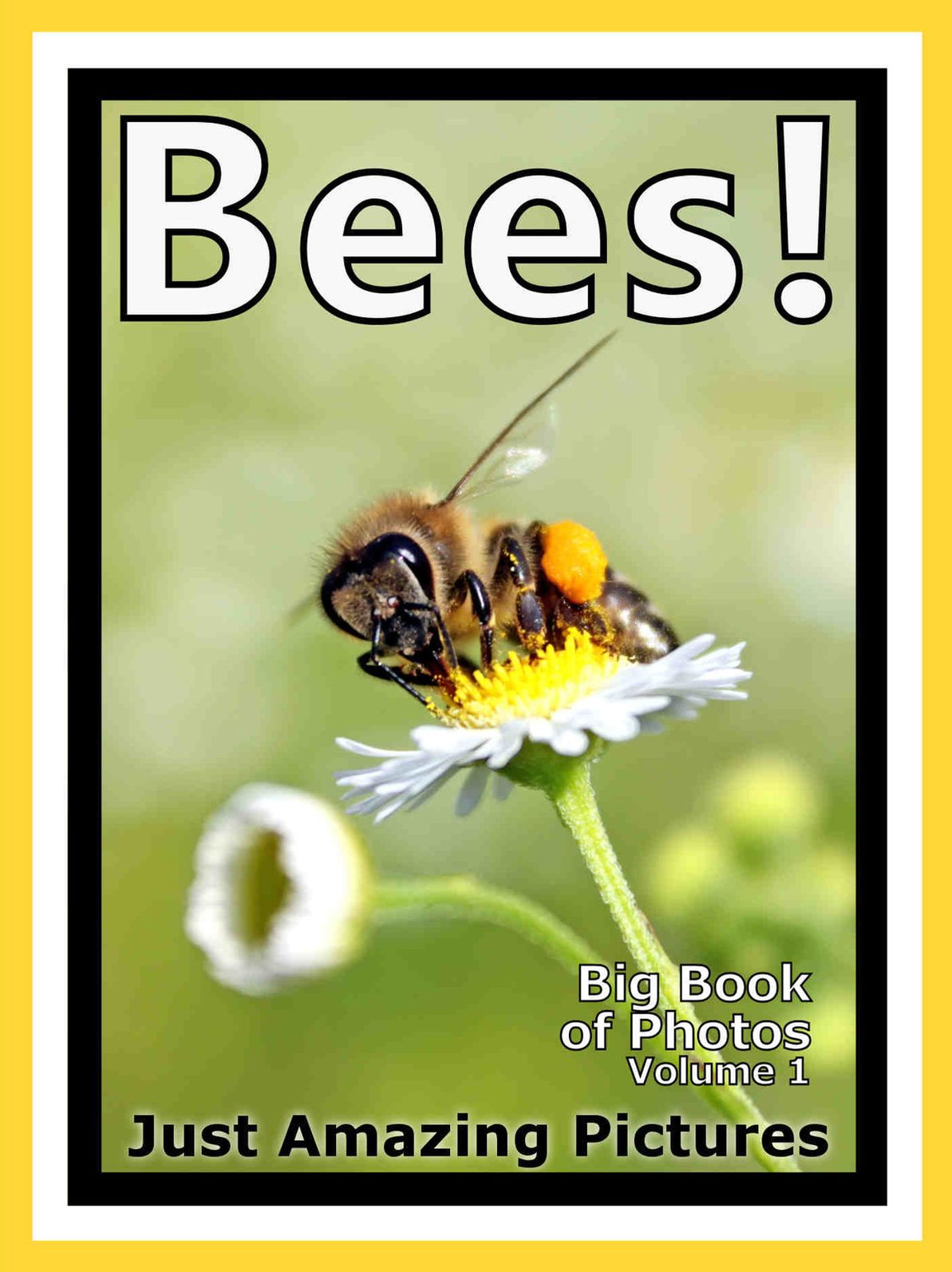 Just Bee Photos! Big Book of Photographs & Pictures of Bees, Vol. 1
