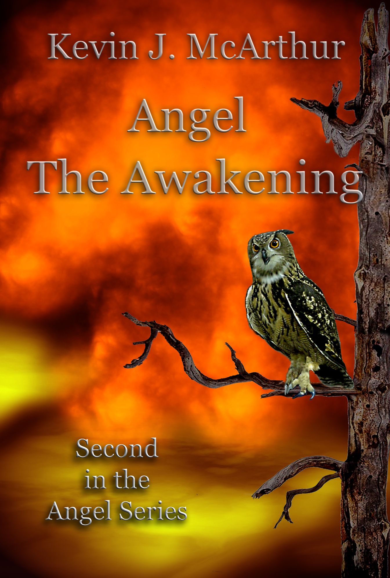 Angel: The Awakening